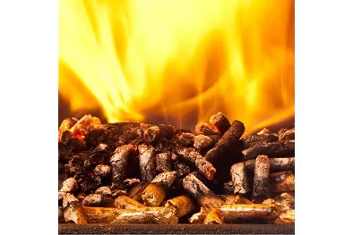 Fuel Pellets