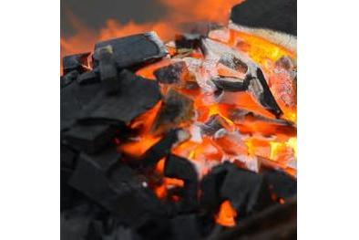 Fuel Charcoal