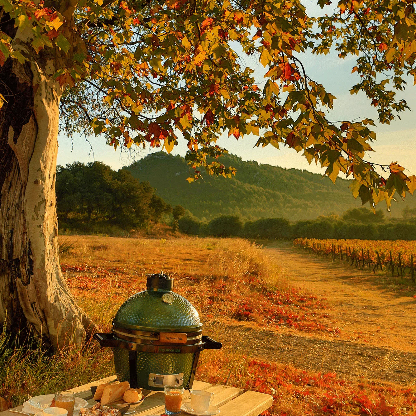 Big Green Egg 119650 | MiniMax | Portable Grill