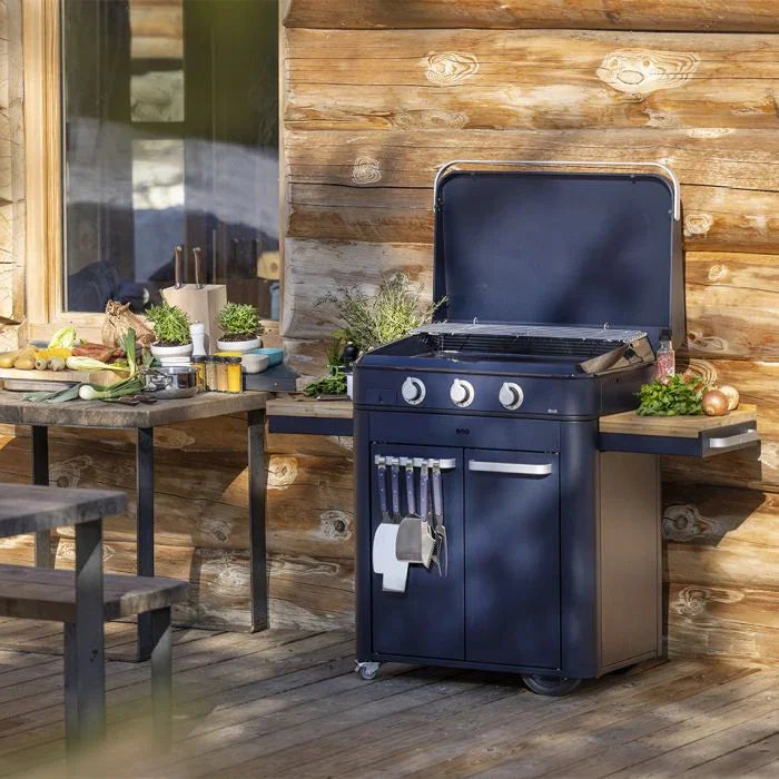Eno 570382588801 | Gas Cylinder Cart with Utensil Bar and Foldable Shelves