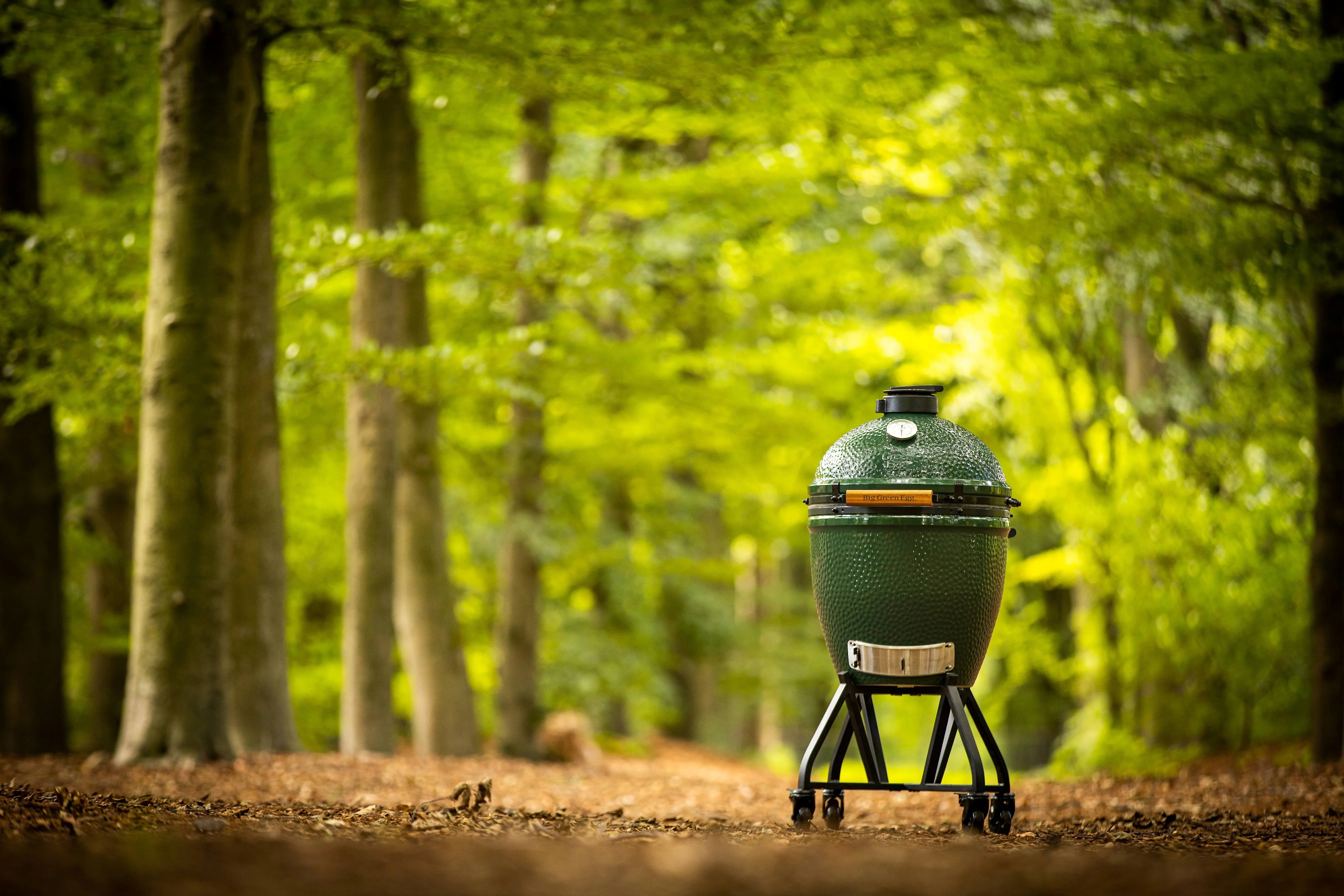 Big Green Egg 389814 | Original Nest Kit Small 13" | Compact Cooking Solution