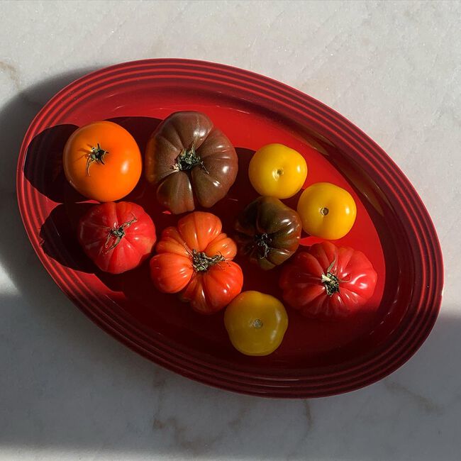 LE CREUSET 46 cm Oval Serving Platter - Blueberry | PG2017-4692