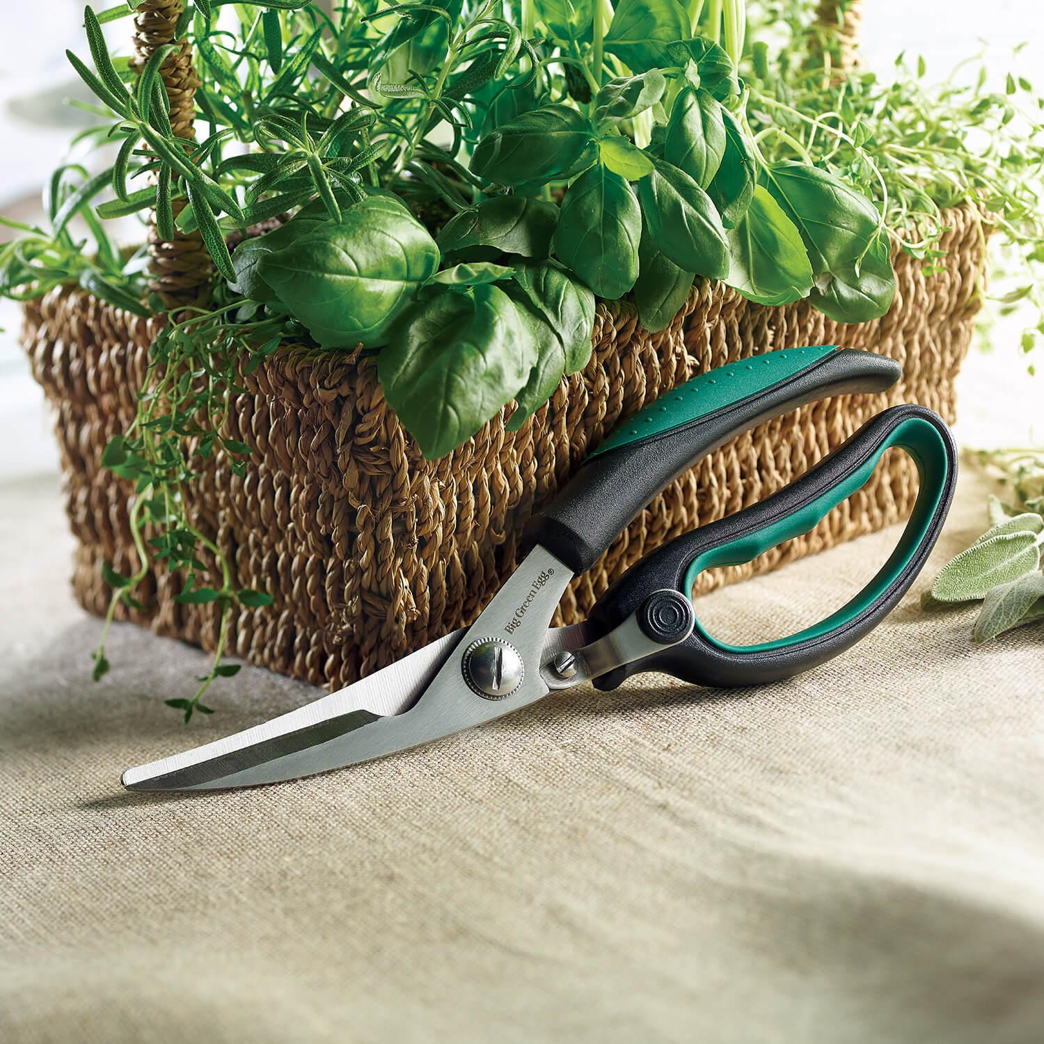 Big Green Egg 120106 | Stainless Steel Kitchen Shears