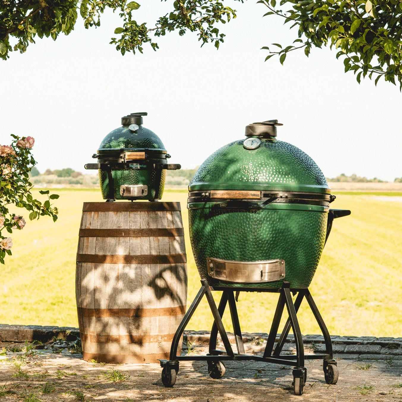 Big Green Egg 117649 | XLarge Grill | Outdoor Cooking Collection